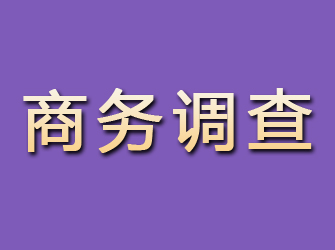 修水商务调查